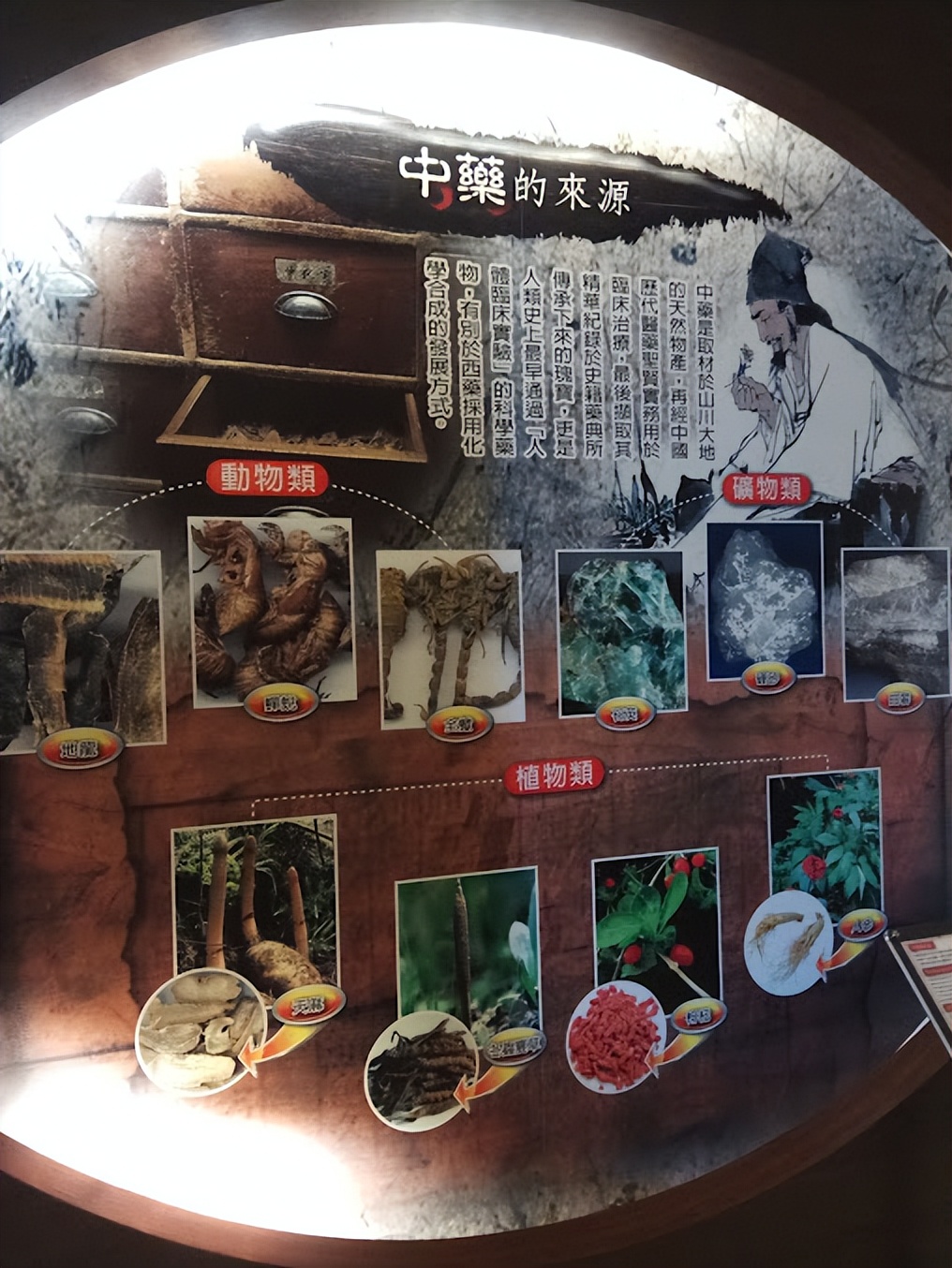 单次造访变持续消费，工业旅游成金牌销售