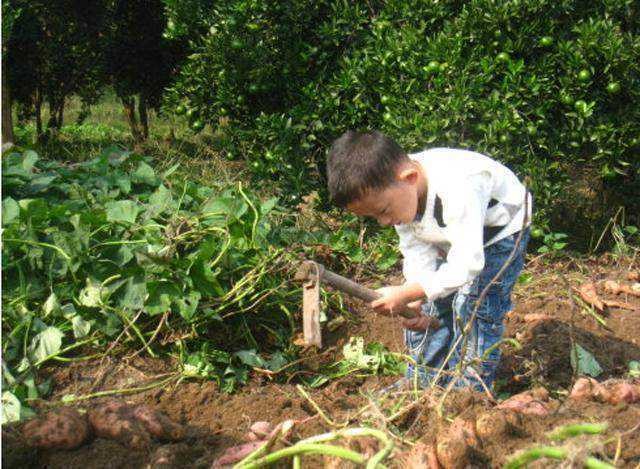 河南15岁男孩父亲去世，和母亲低保度日，4年后，以677分考上清华