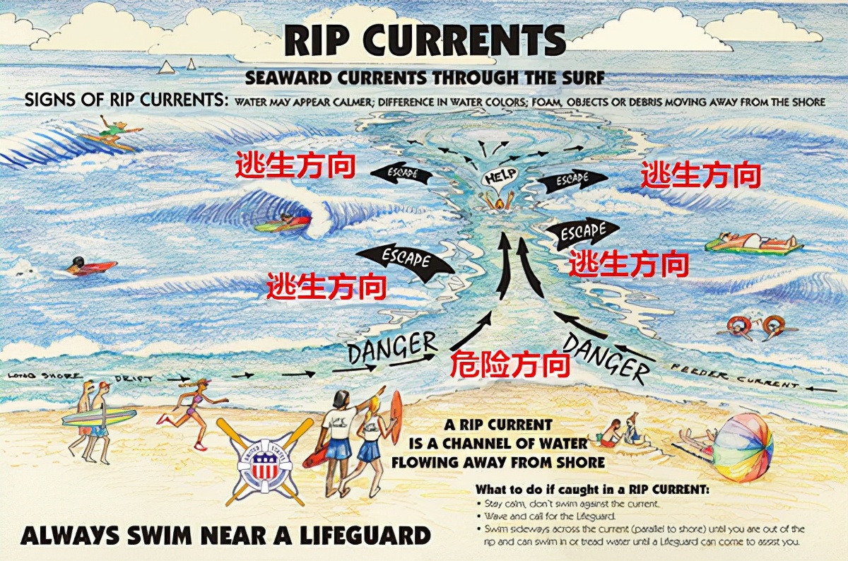 8月漳州海滩11人溺亡：结伴游玩被卷入海中，因何原因至今未知