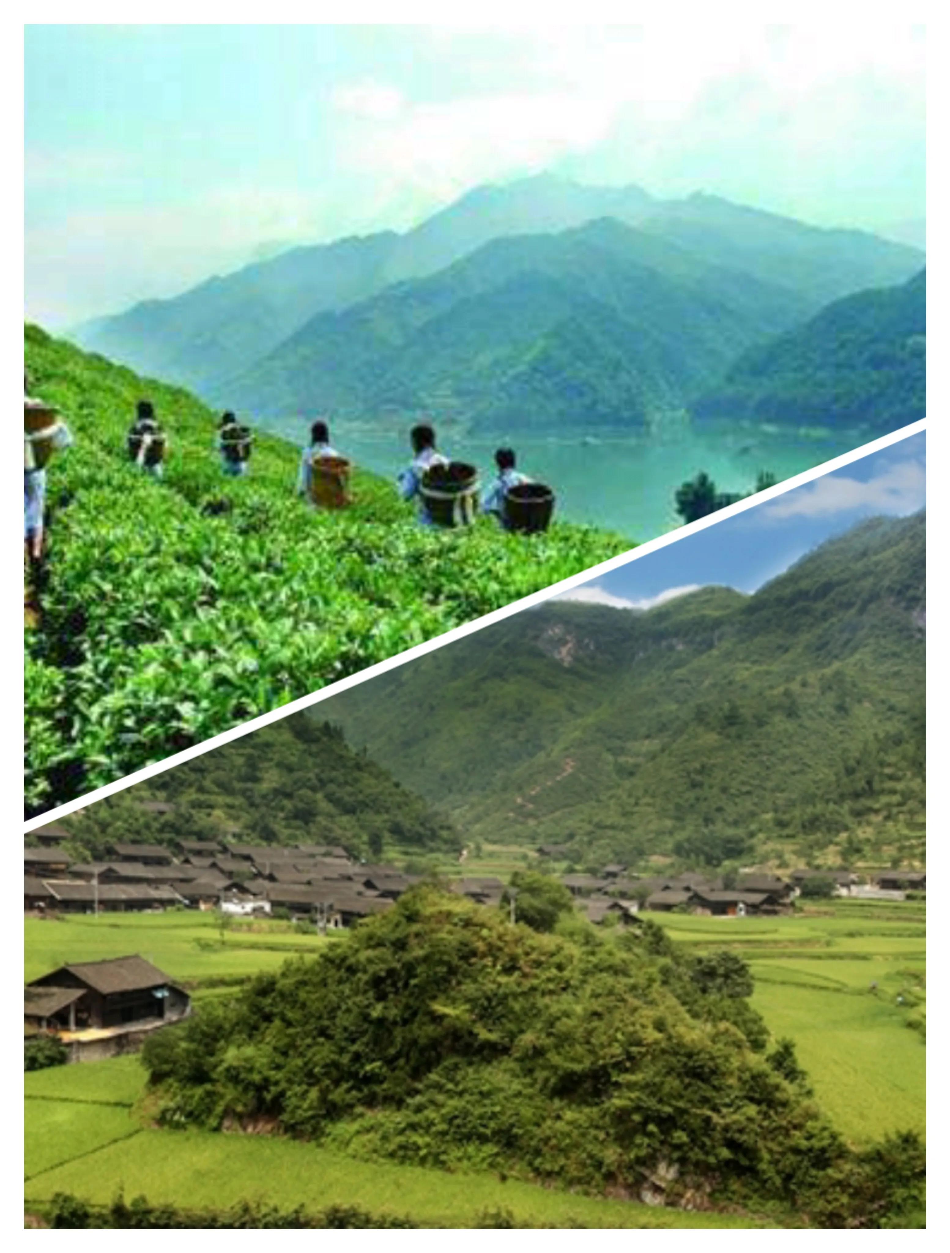 湖南省落后的10个县，湘西州4县上榜，怀化2县入围，古丈县垫底