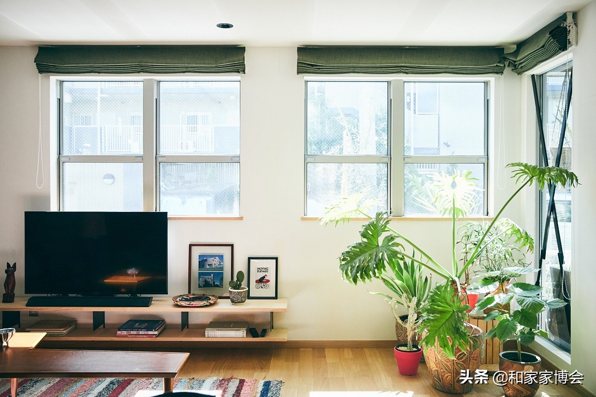 绿色植物助力“邻里关系”| 美式风格的老房翻新装修