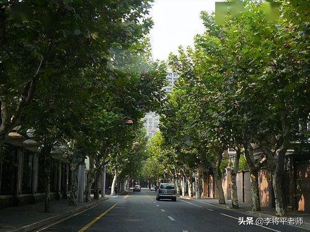 刘畊宏边直播边打白蚁,为何上海白蚁先一步复工复产,能灭绝吗?
