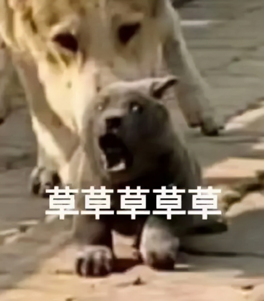 健身的真正目的是揍鬼