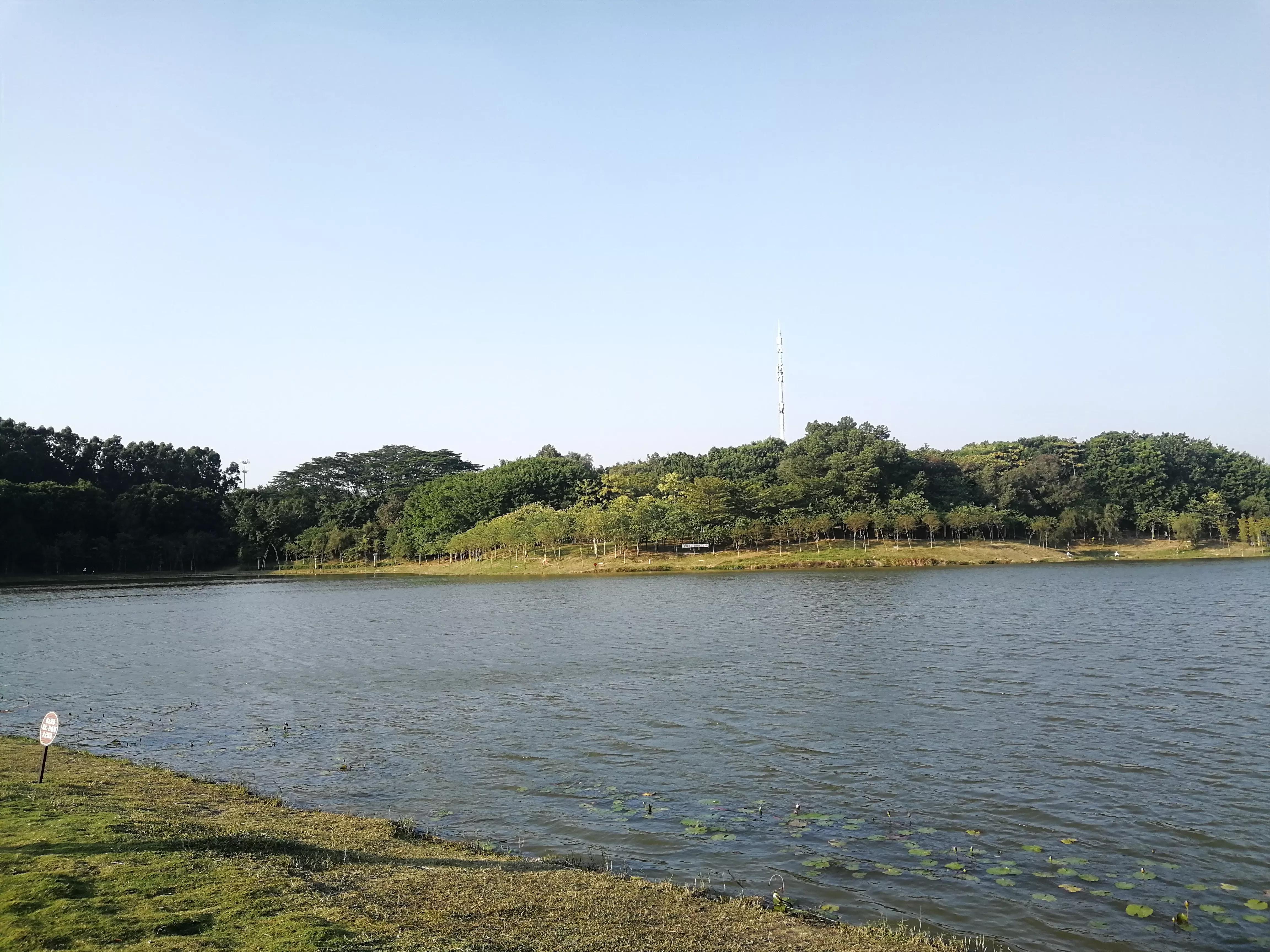 地铁4号线广州大学城一日游，带你体验不一样的大学城风景（A篇）