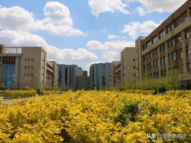 辽宁医药院校多达6所，1所是“国字头”，唯一的学院拟升大学