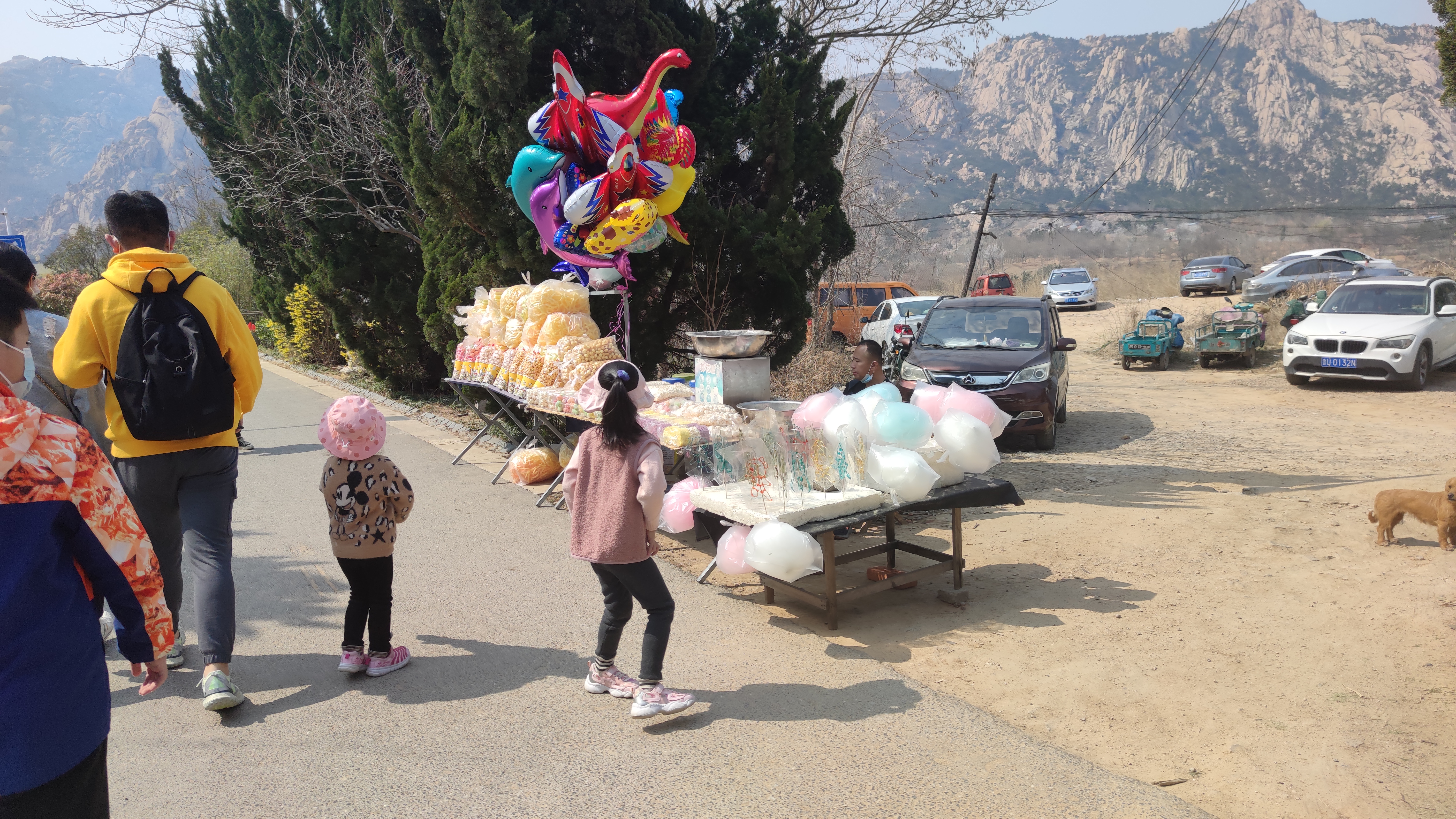 早春，大珠山探寻万亩杜鹃花开爬山游记