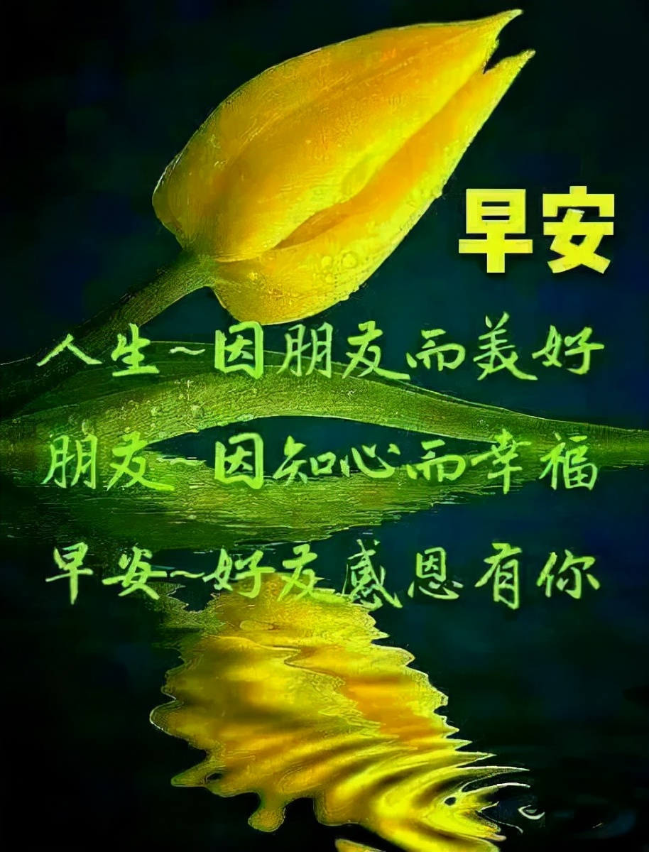 阳光唯美的周末早晨好图片大祝福大全 友情无价，祝福友人健康开心