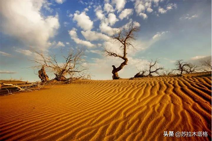 偏远，多样，神奇：简单即奢华！这就是我对“亚洲第一”的印象