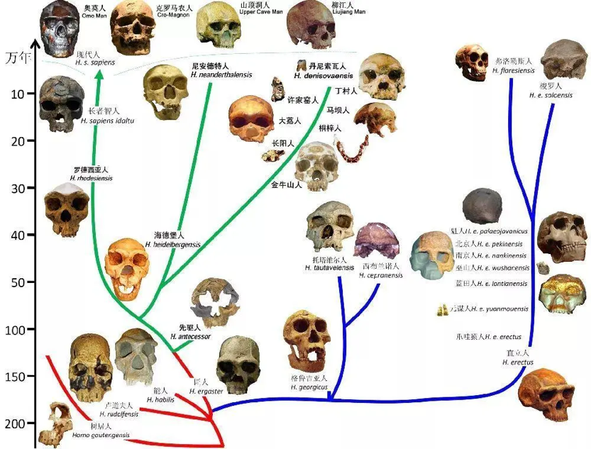 地球上本来没有人类，那么第一个人是怎么来的？可能来自太空吗？