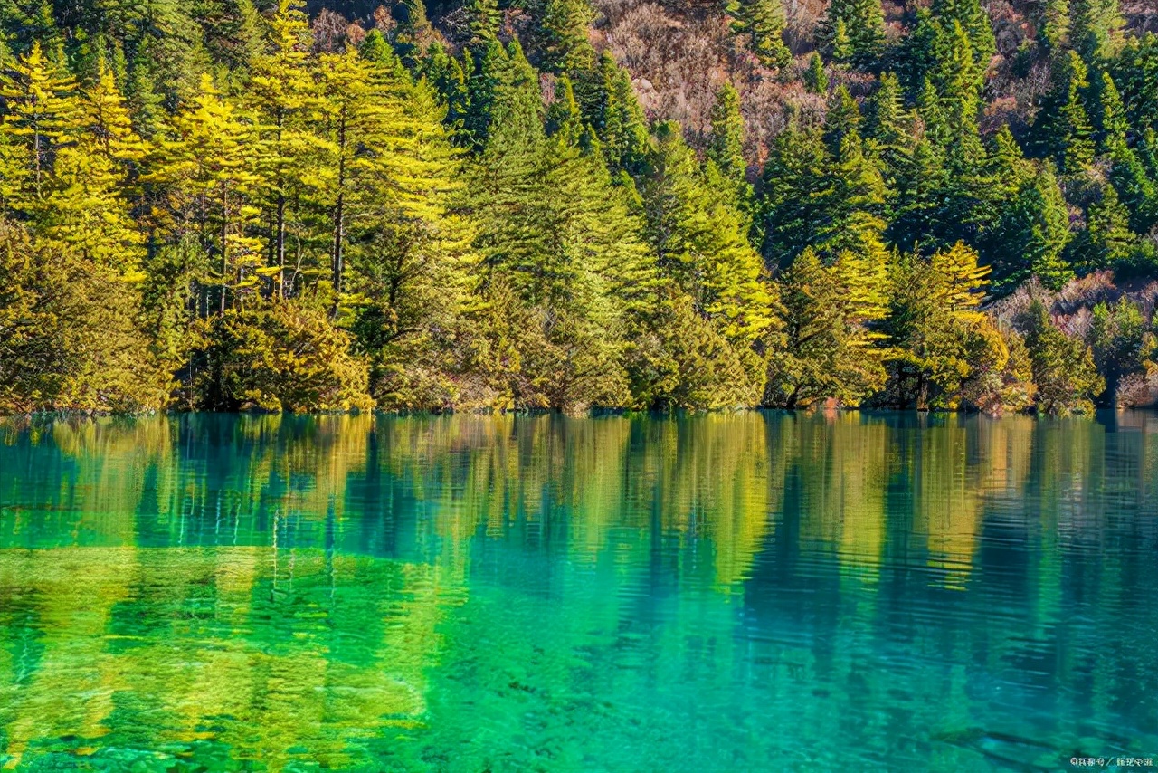 四川省有哪些大学（四川高校排名出炉）