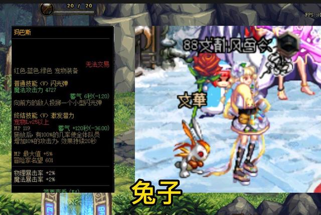 DNF：盘点实用型宠物排行，60版本竞速大佬必备，惊艳到我了