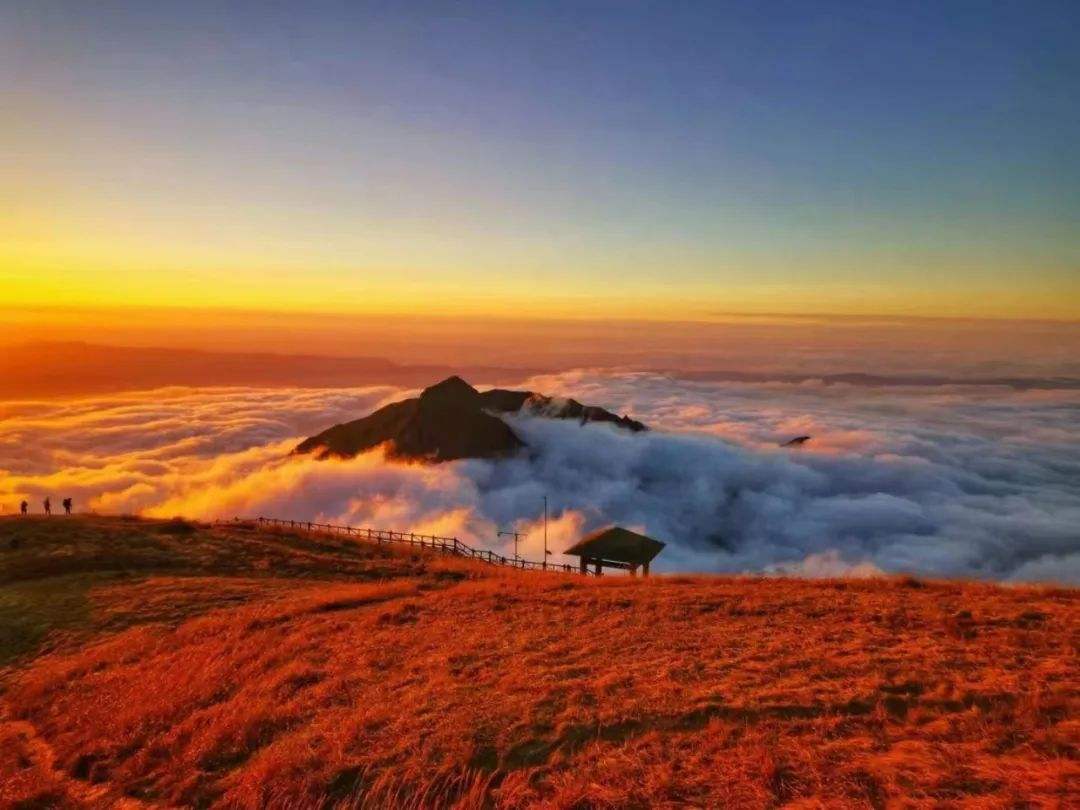 江西一定要去的5A景区，境内动植物繁多，被誉为天然动植物乐园