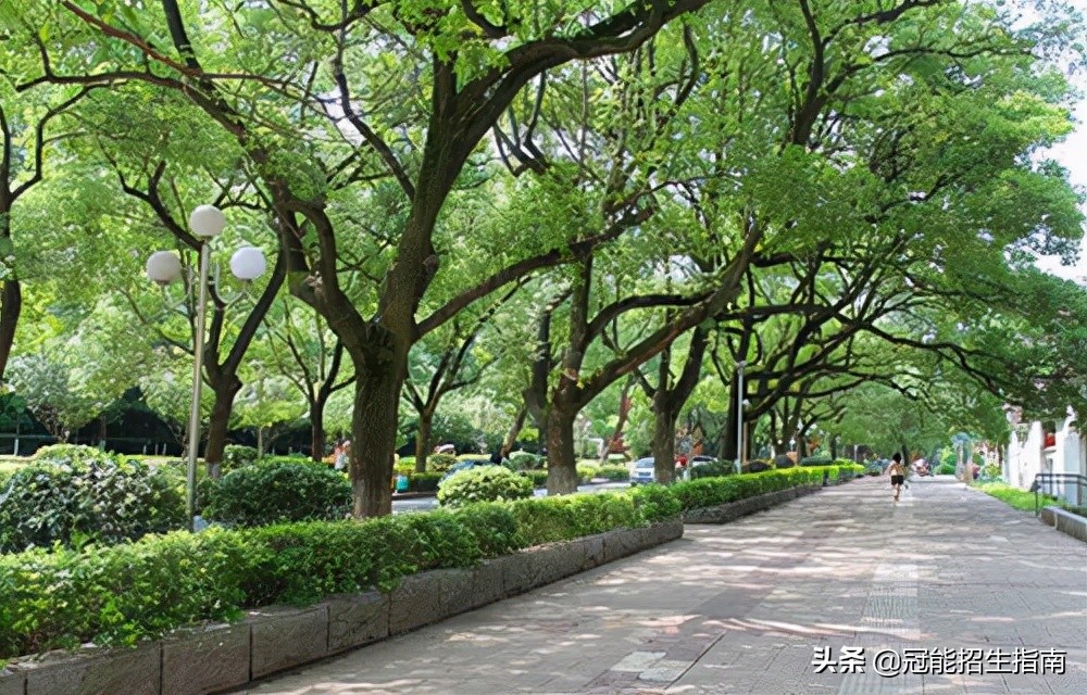 成都热门的职业学校有哪些？学校有哪些专业？