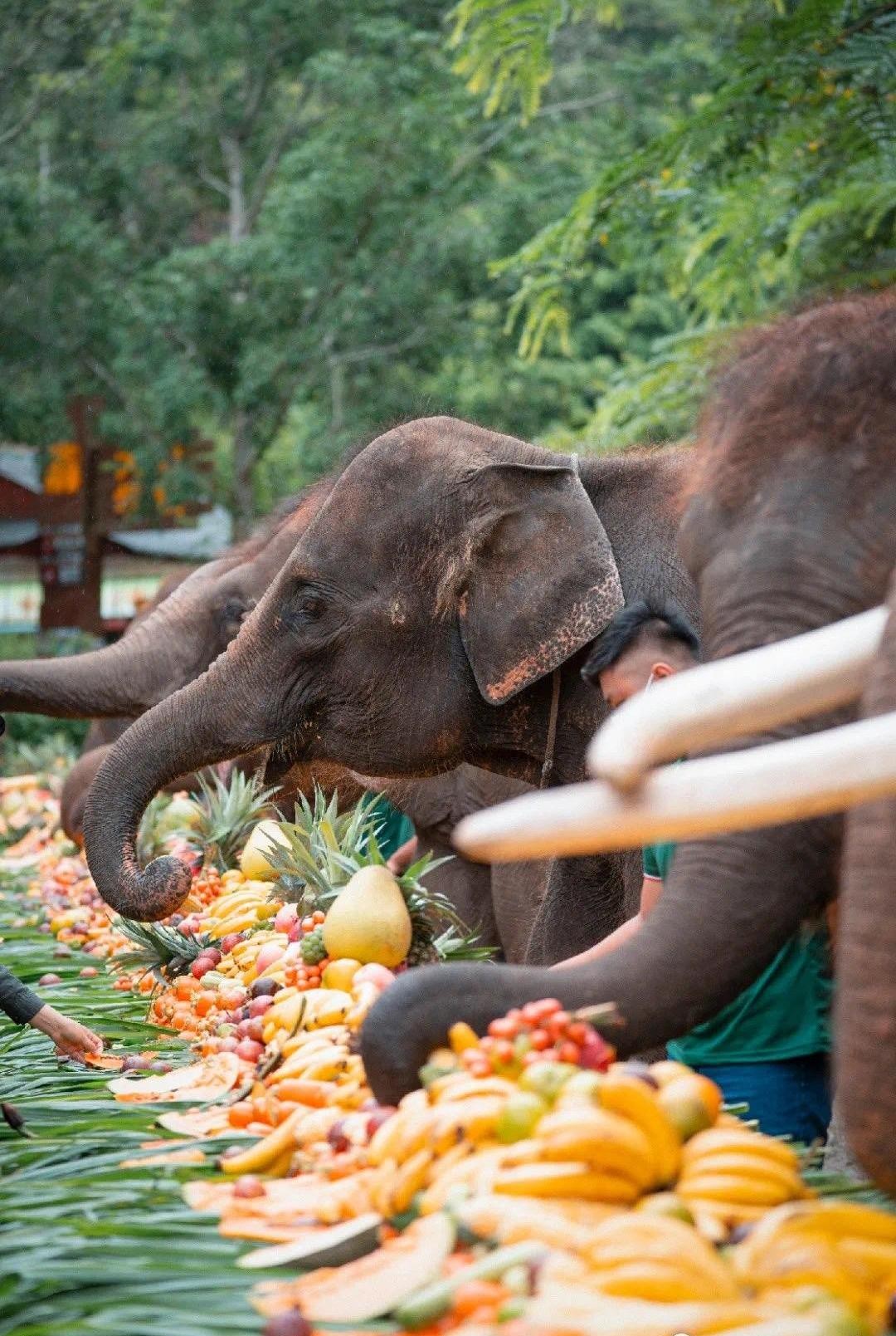 走近中老铁路⑦