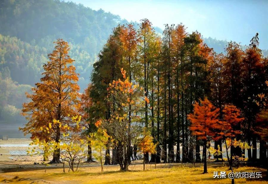 适合冬天出发的12条自驾路线,人少景美,来一场自驾之旅吧 适合冬天出发的12条自驾路线,人少景美,来一场自驾之旅吧