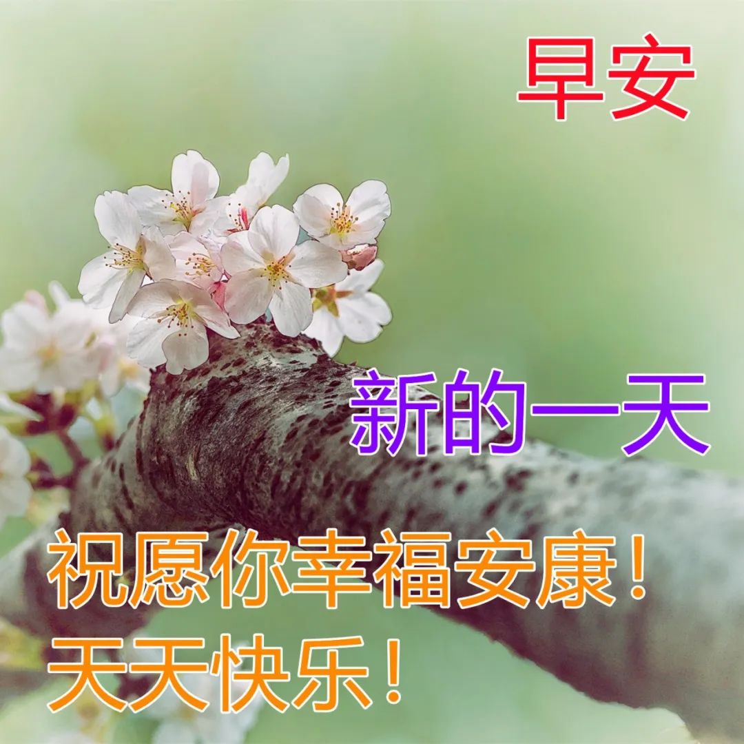 愿鲜花与绿叶结伴，点缀你绚丽的人生，愿你永远快乐，早安