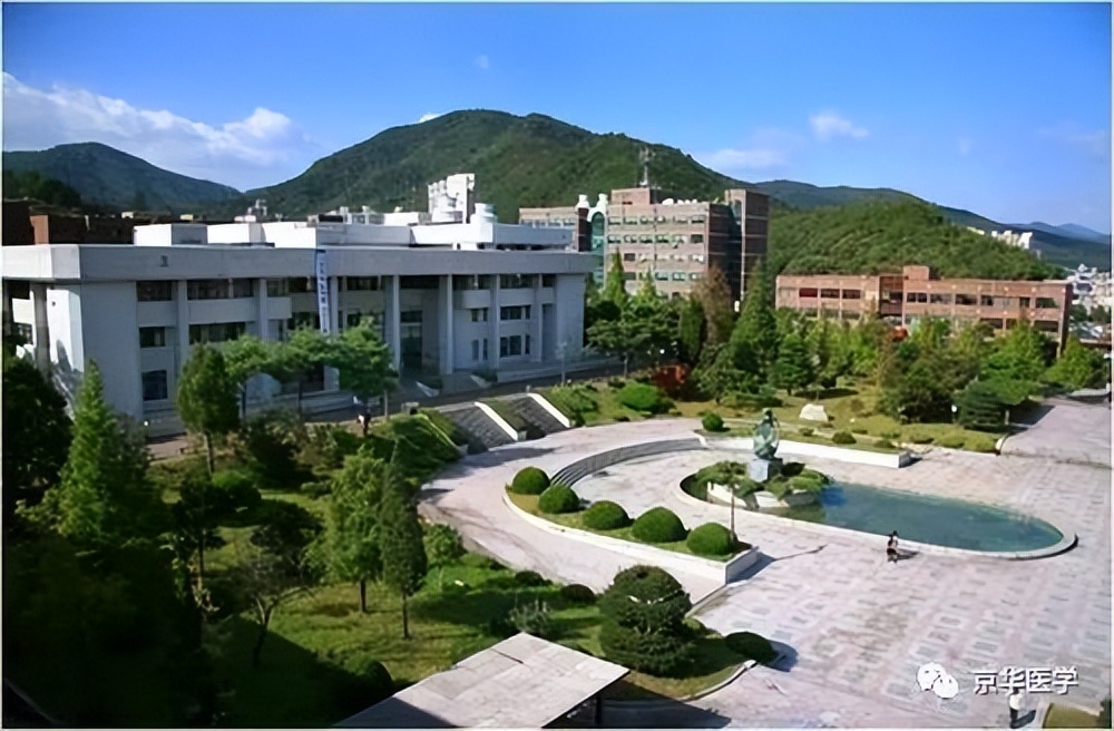 日本顺天堂大学访学案例分享