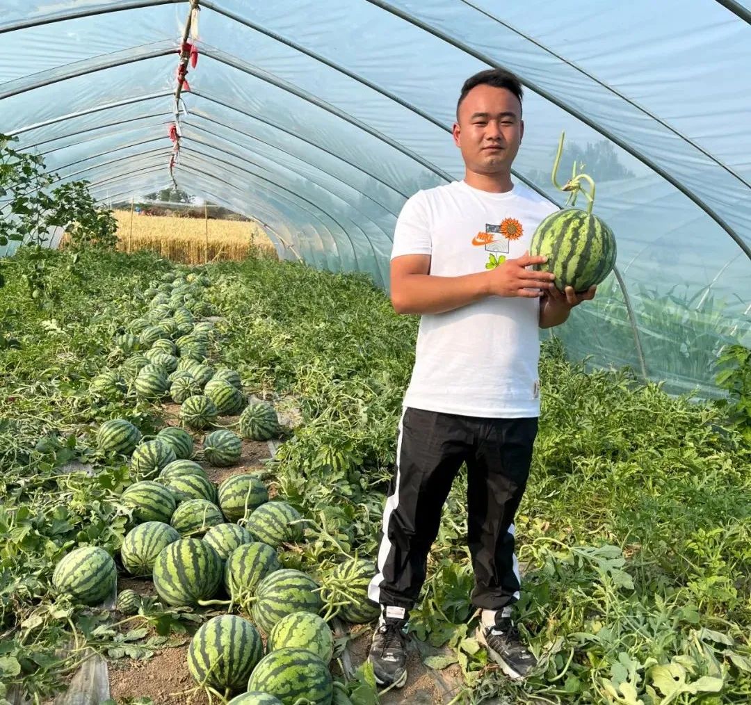 河南夏邑小伙18岁做西瓜代办，1年学7年单干，如今一年卖出7000吨