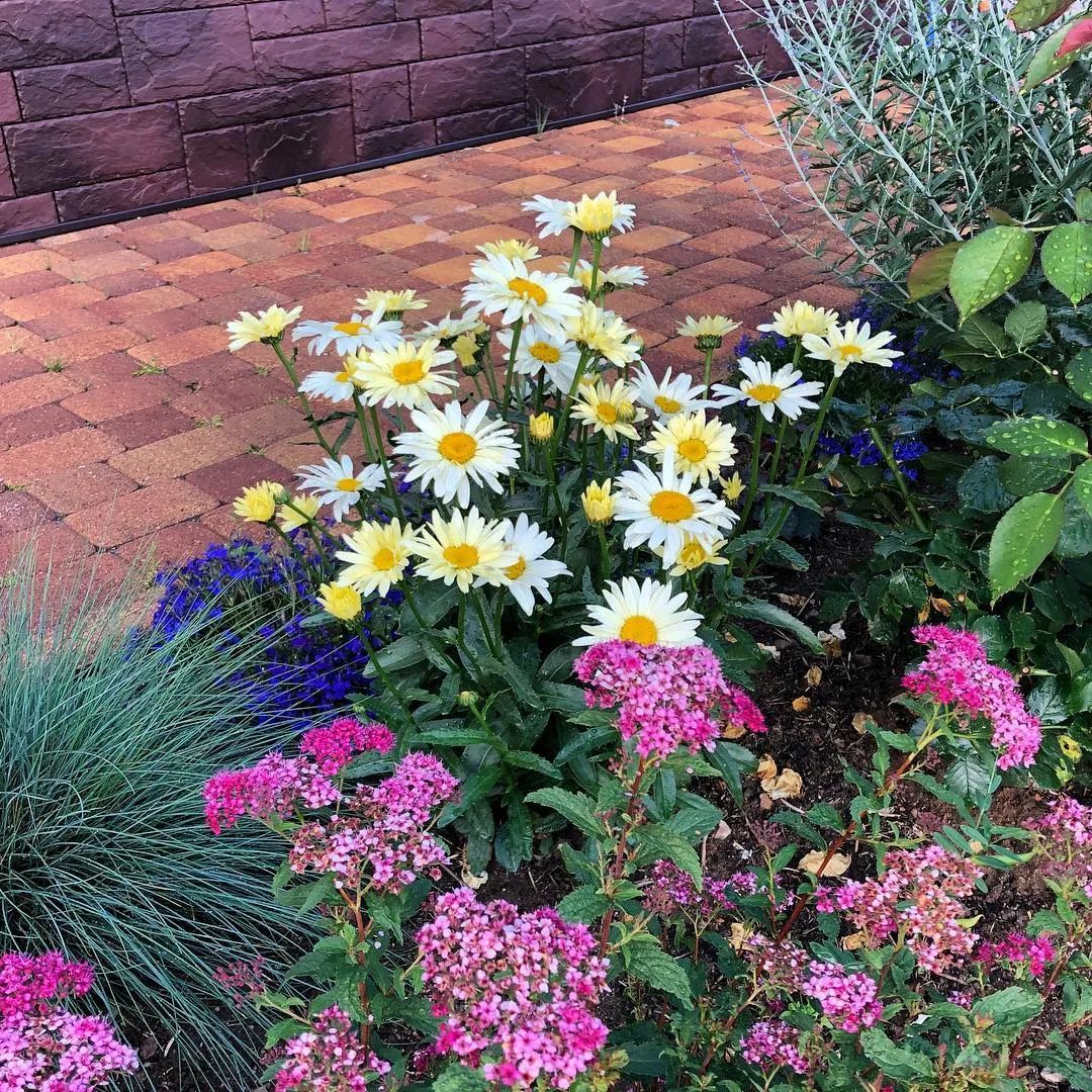 25种花境设计，让生活更美好，你最喜欢哪种？