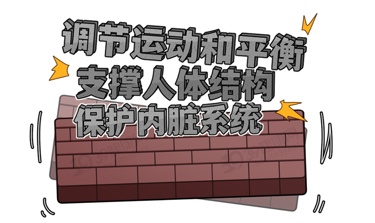 别再只是「把背挺直」了！正确的坐姿是这样的，很多人还不知道