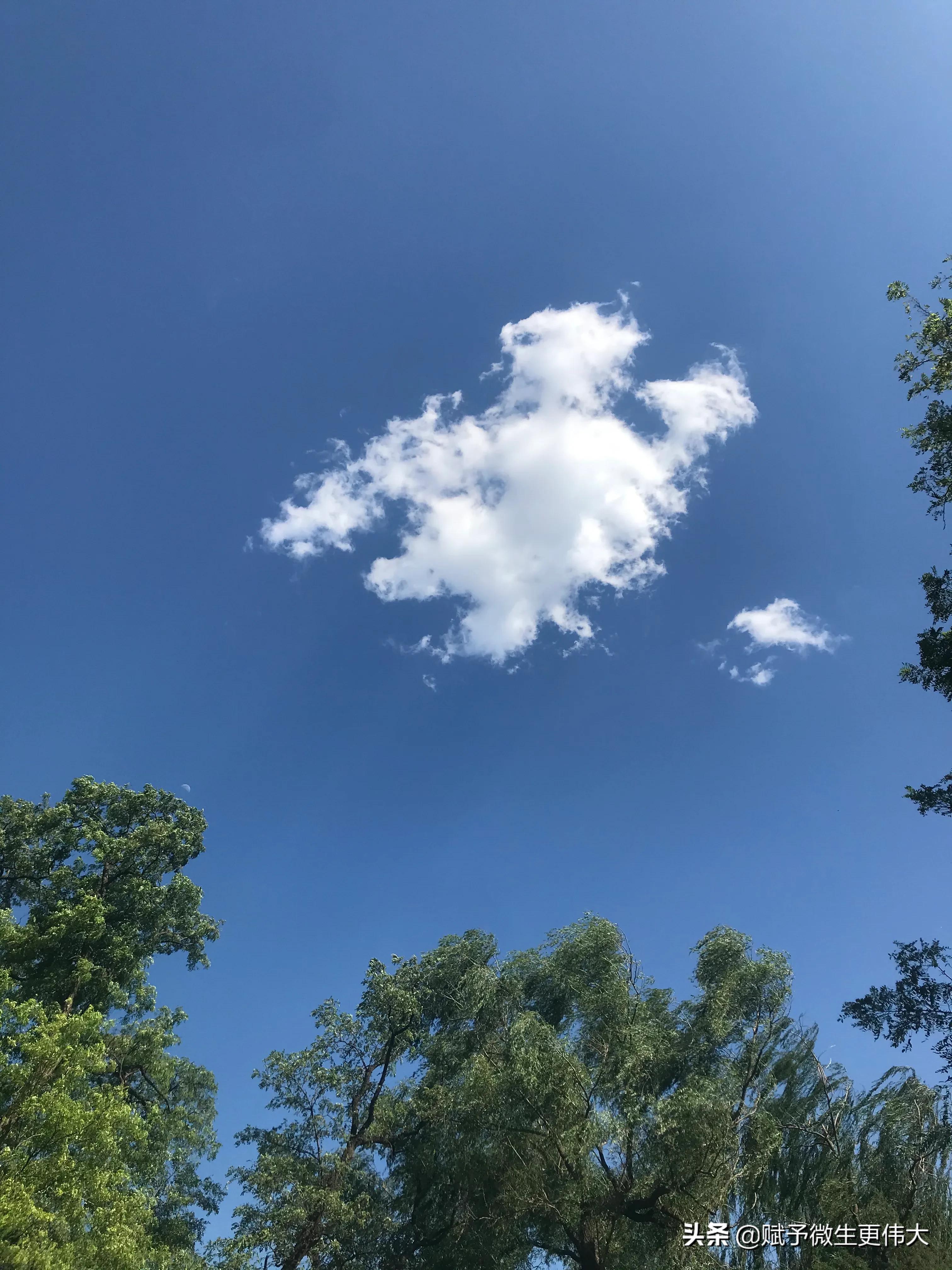乐山乐水——正是一年风去处，占道京华夏至时