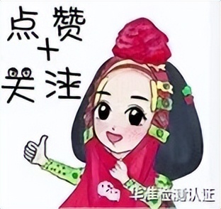 进网许可操作指南