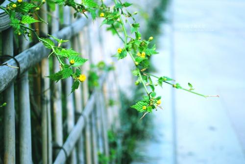 刮目相看！中考模拟考试作文参考范文《跳出刻板印象的藩篱》