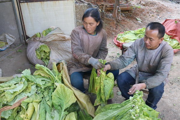 2014年，河南6岁女孩每天靠吃“伟哥”续命，爱心人士出手相助
