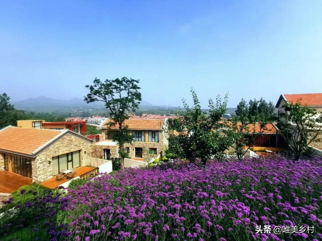 2022年起，保持1000万增速的老年人口，催生田园旅居式养老崛起？