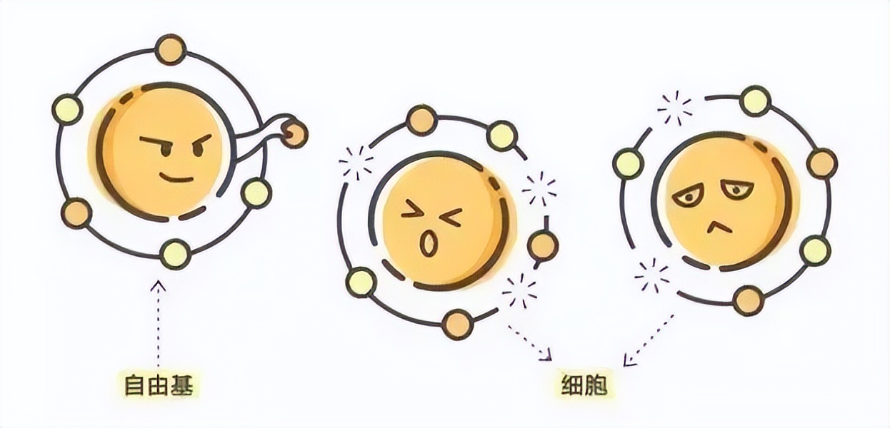 女性衰老“加速器”排名公布，勤洗头排第4，第1很多姐妹还在做