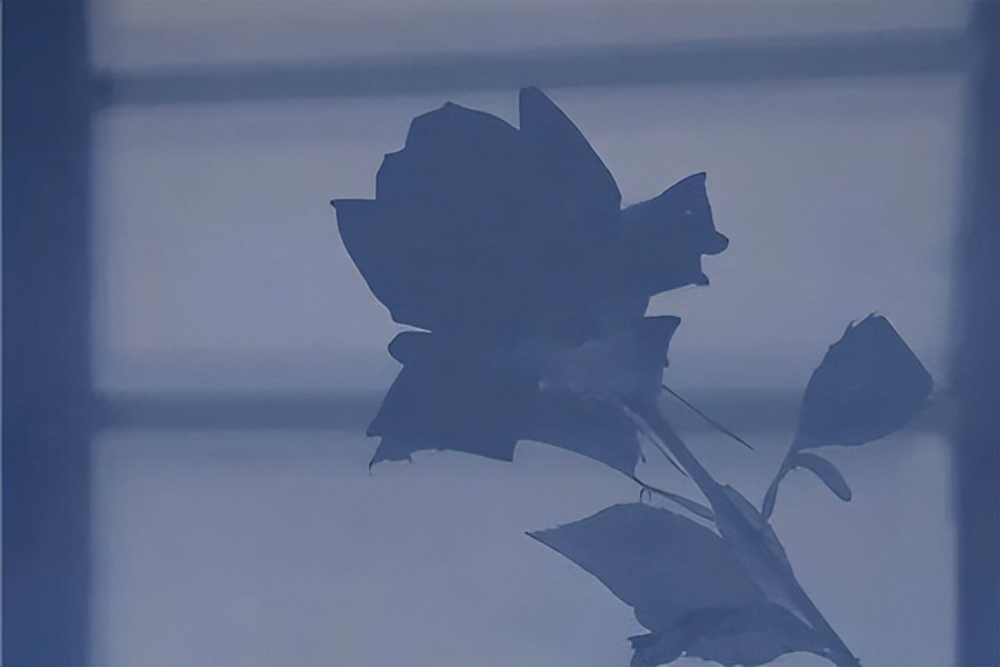 感情真正的结束，不是拉黑，不是删除，而是......