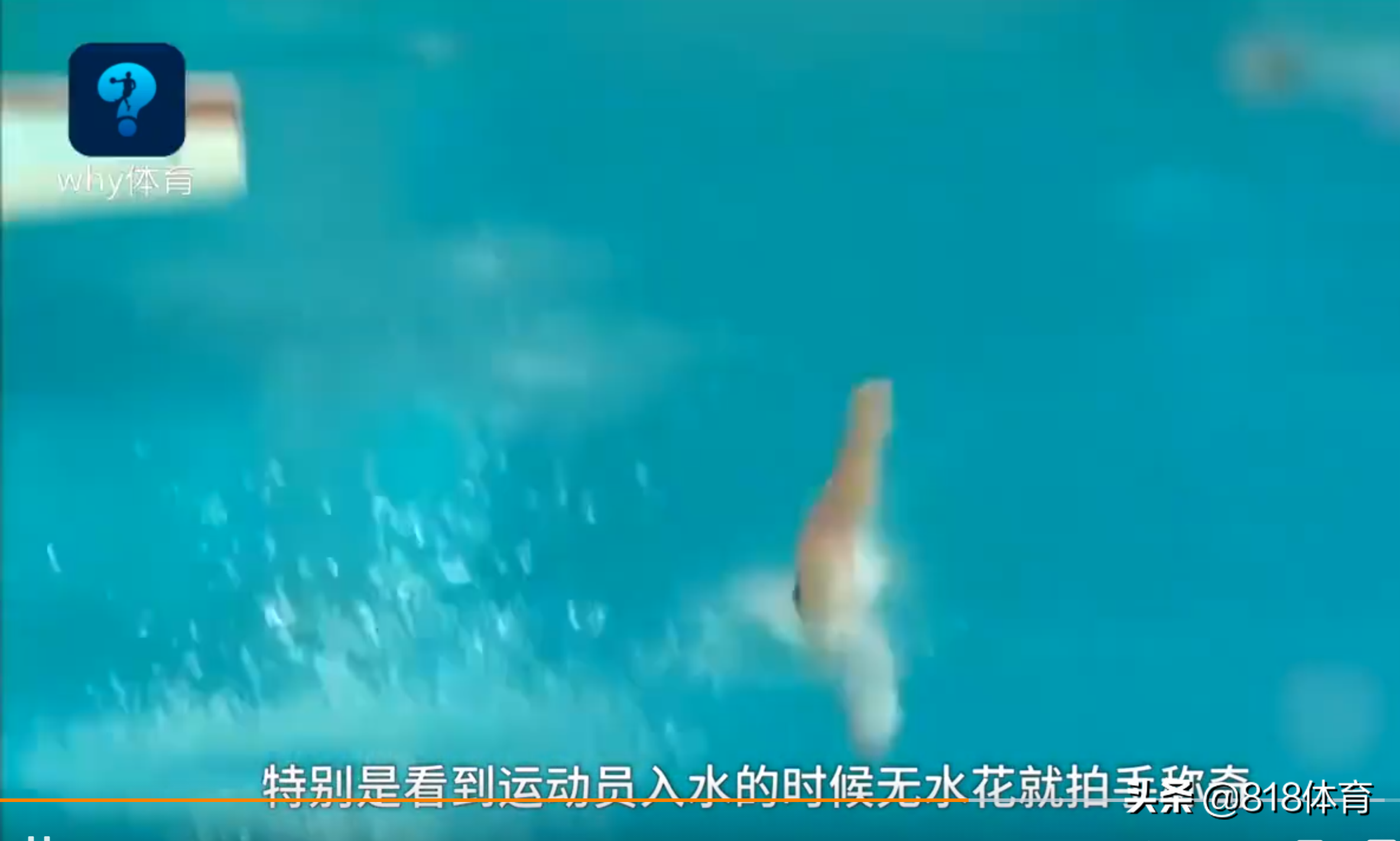 香港跳水主席吹爆全红婵：看跳水十几年，没见过这么厉害的小朋友