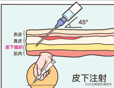 透析相关用药大全！收藏