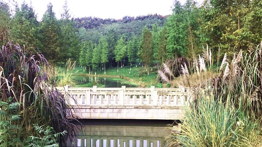 假期好去处！重庆这里野餐、烧烤、垂钓……轨道就可直达