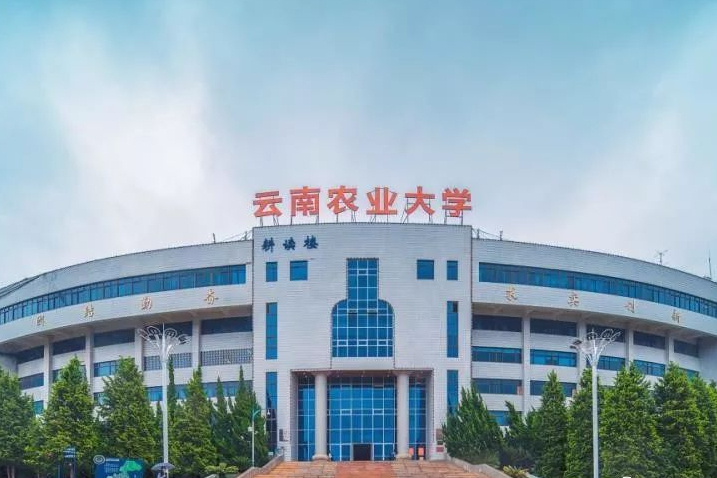 五所设计学类录取线最低的公办院校，你所在的省份录取线是多少？