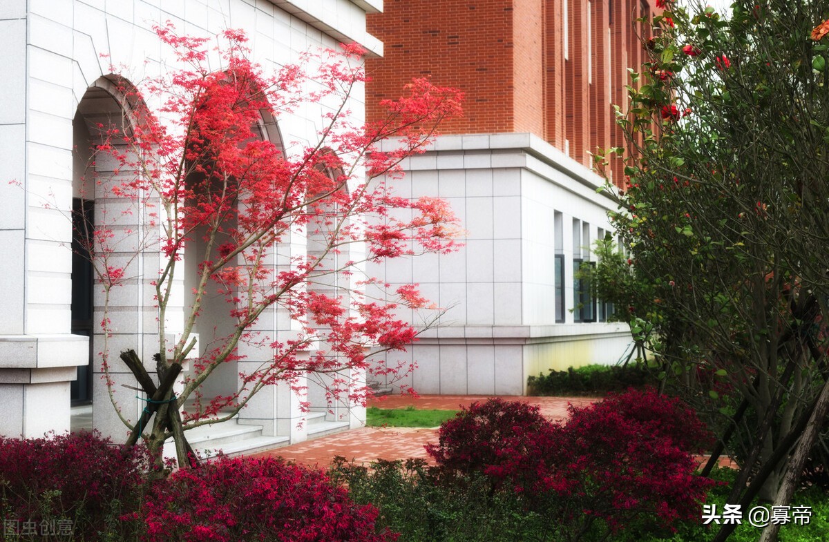 大学985-211你都知道什么意思吗？