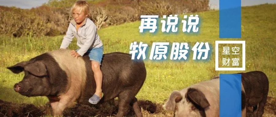再议猪茅牧原股份