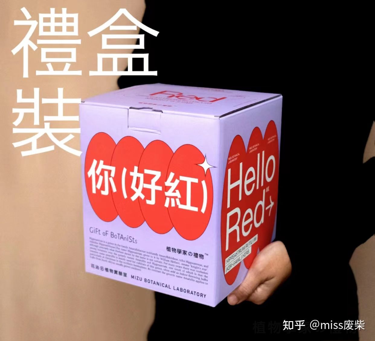 贫民窟女孩春节送礼怎么选？¥100～300不贵又拿得出手的礼物
