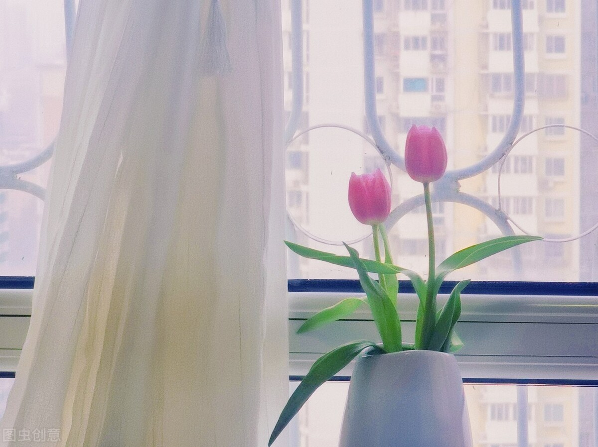 红颜易老，寻梦千年，浅情人不知