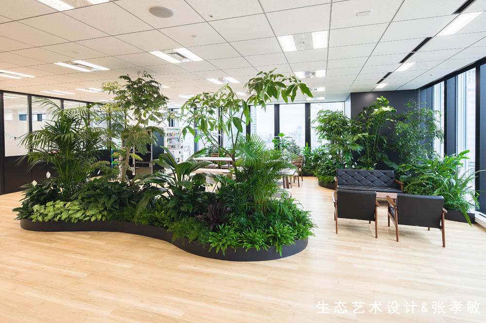 300平办公室室内绿化