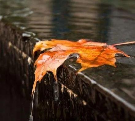 努力迎接人生，欣赏落叶，伏案听雨