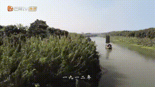 中国人的家与国、幸与苦、兴与亡，都被《运河风流》讲透了