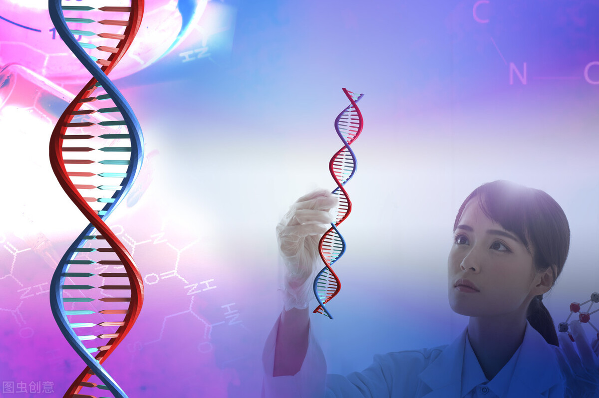 一斗穷、二斗富？秦始皇10个“簸箕”，与中科院一起揭秘指纹密码