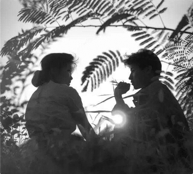 32岁女会计汤兰英：70年代贪污4万，包养7个情夫，最终被情夫举报