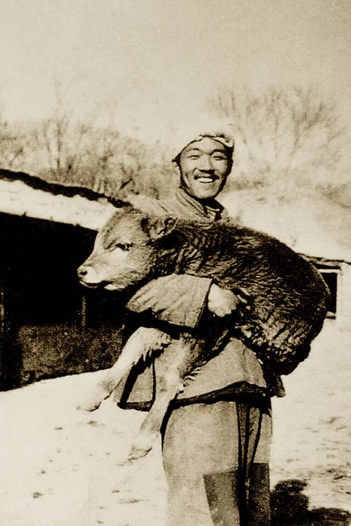 人生若觉很悲丧，只因未读史铁生