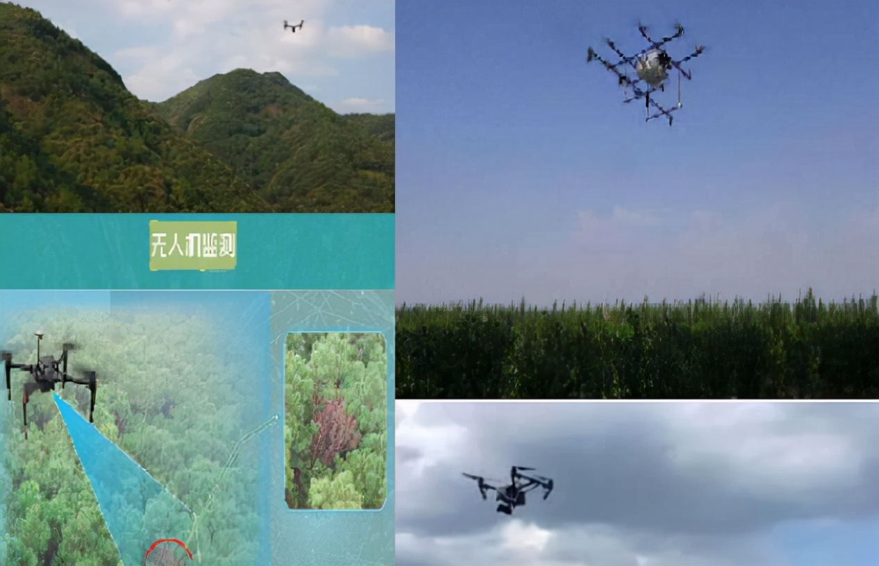 无人机视频智能检测技术，如何应用在野生动植物物种保护中？
