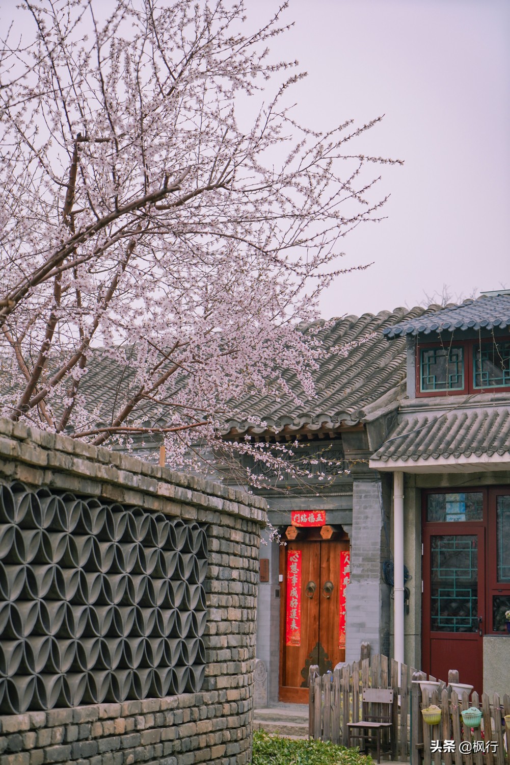 一夜之間，北京前門這個小公園，因為絕美桃花出瞭名；附拍攝攻略