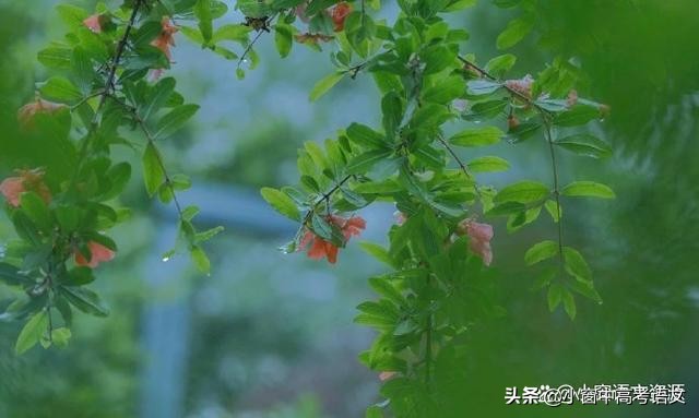 「高考语文干货」语用文字运用：语句比较型赏析的思路