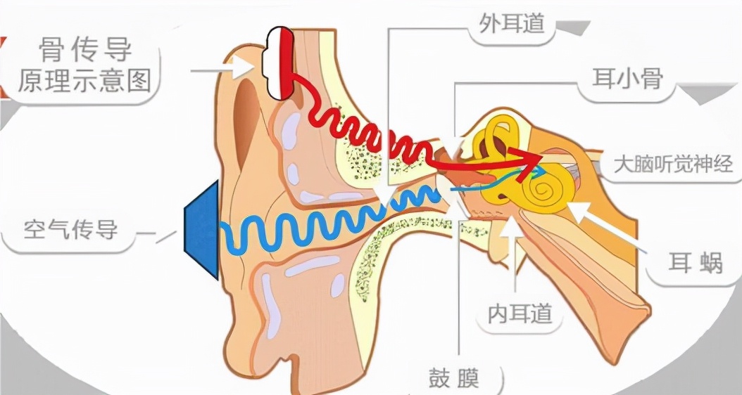 骨传导耳机怎么样？骨传导耳机是不是智商税？