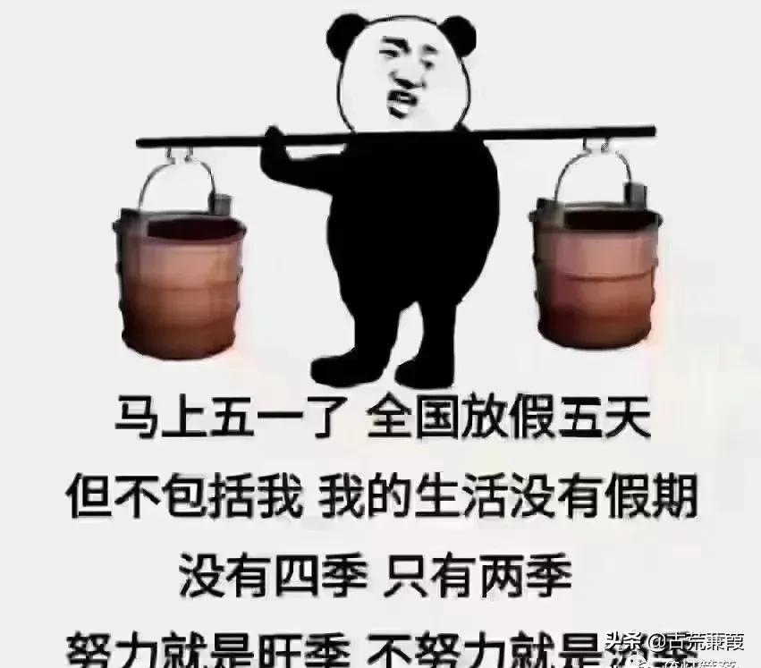 万千风景过眉间，光阴依旧唯心安